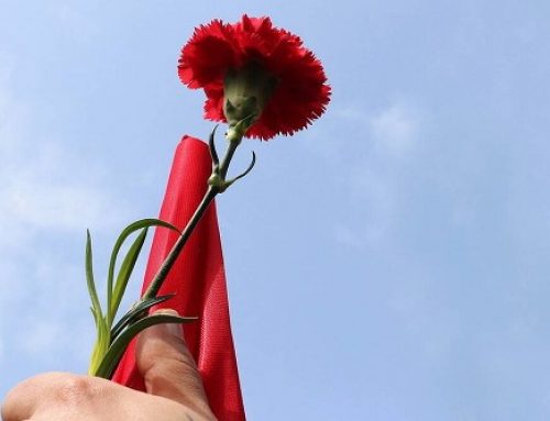 ΠΡΑΣΙΝΟ ΚΙΝΗΜΑ: Το μήνυμα για την Εργατική Πρωτομαγιά.