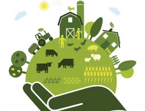 Μια στρατηγική Farm to Fork που λειτουργεί για τους ανθρώπους και τον πλανήτη