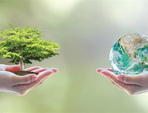 Το Πράσινο Κίνημα για την Ευρωπαϊκή Ημέρα Natura 2000 και την Παγκόσμια Ημέρα Βιοποικιλότητας: Η διατάραξη του κλίματος πλησιάζει στο σημείο χωρίς επιστροφή