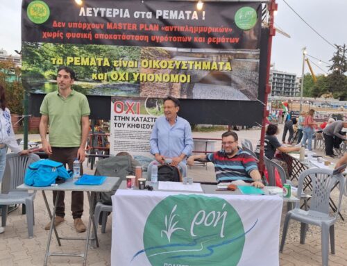 ΠΡΑΣΙΝΟ ΚΙΝΗΜΑ: Στο Φεστιβάλ για το Νερό και τα Κοινά Αγαθά