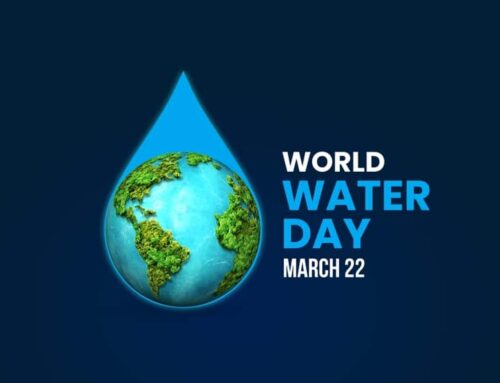 Το Πράσινο Κίνημα για την Παγκόσμια Ημέρα Νερού 2026: «Όπου ρέει το νερό, μεγαλώνει η ισότητα»