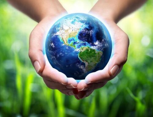 Το Πράσινο Κίνημα για την Ημέρα της Γης 2026: Ώρα για Συλλογική Δράση και Πράσινη Μετάβαση