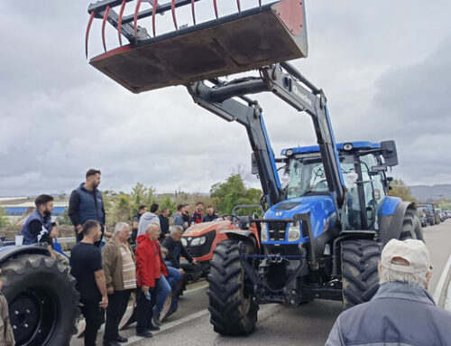 Το Πράσινο Κίνημα τιμά την Παγκόσμια Ημέρα Αγροτικής Πάλης